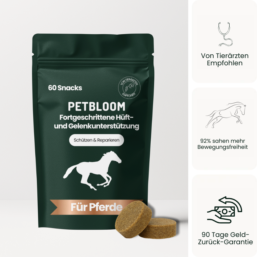 Pferde Gelenksnacks