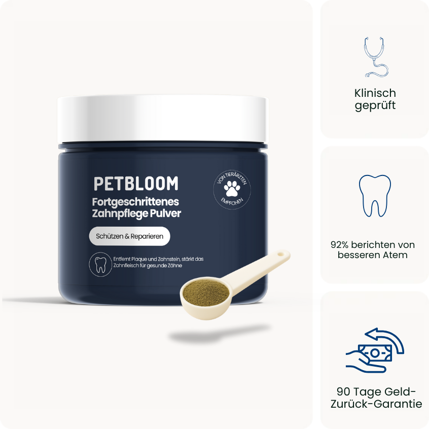 Dentalpulver
