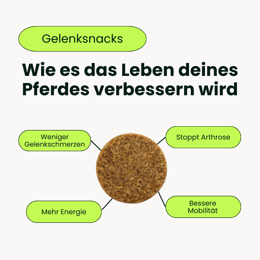 Pferde Gelenksnacks