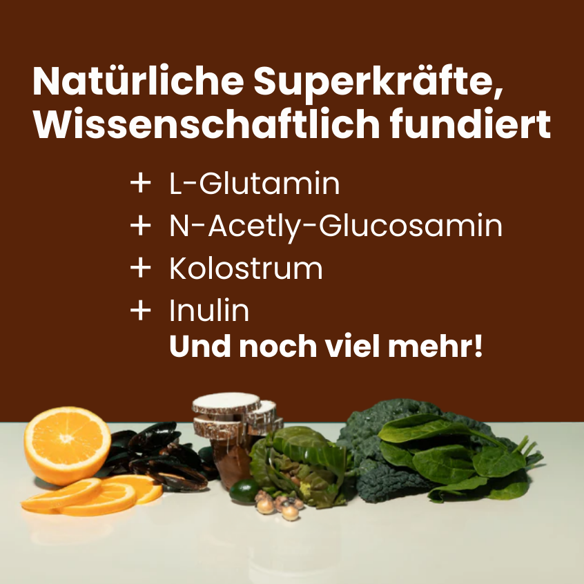 Darmflora Snack
