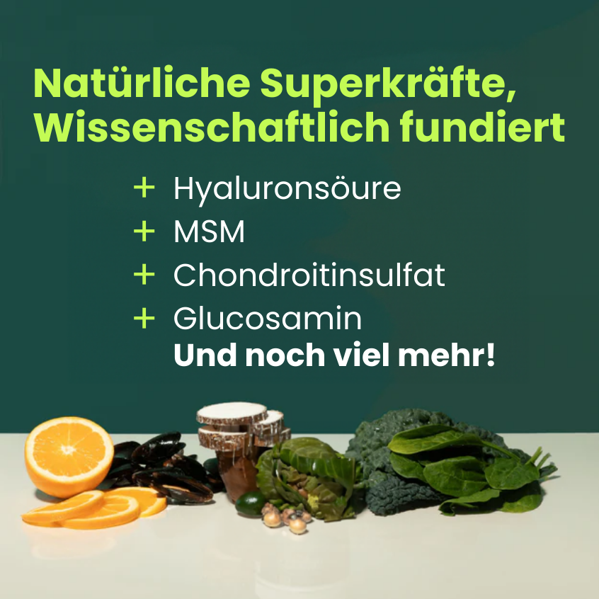 Pferde Gelenksnacks